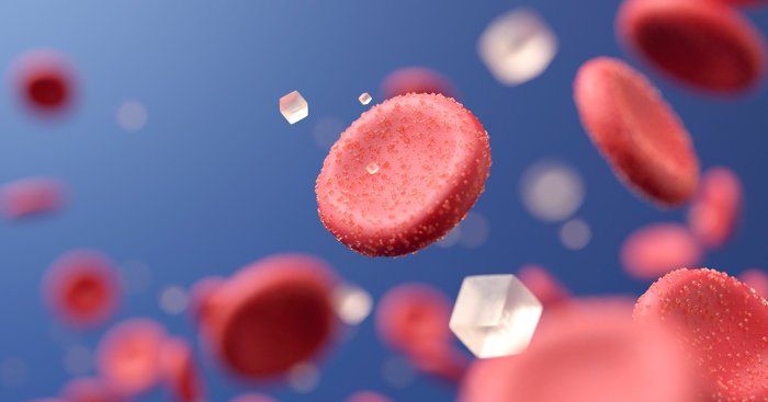 В стартап-студии КФУ создают портативный анализатор крови